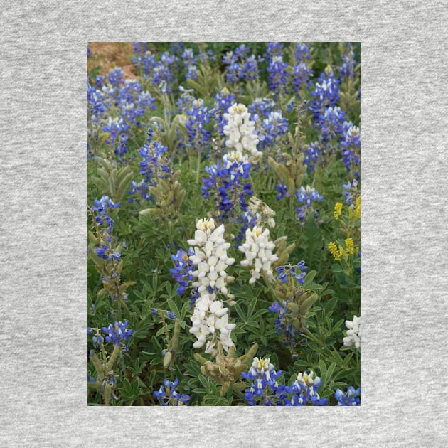 White bluebonnets by Feathered Finds